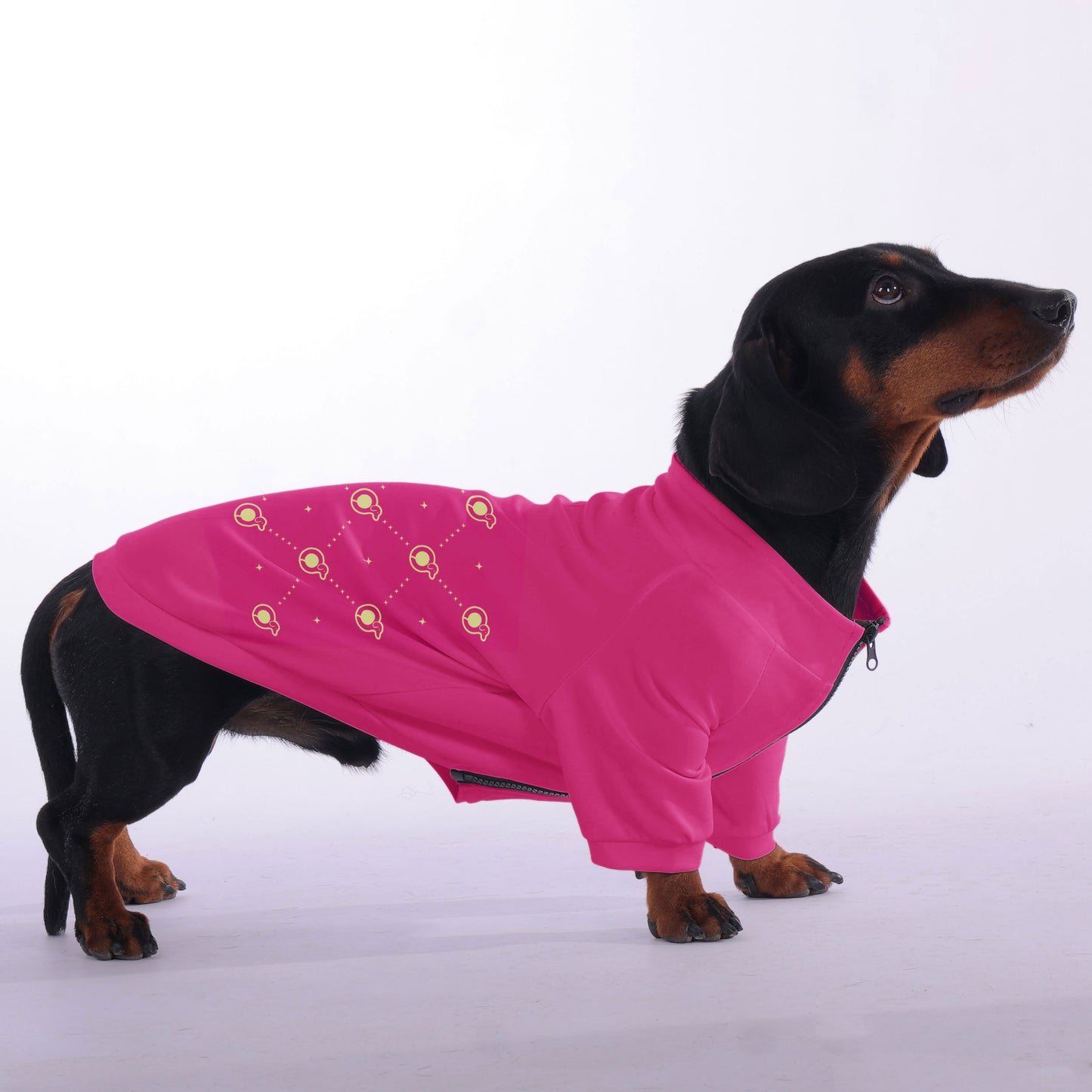 Cinnamon - zip-up hooded sweatshirt for dachshund