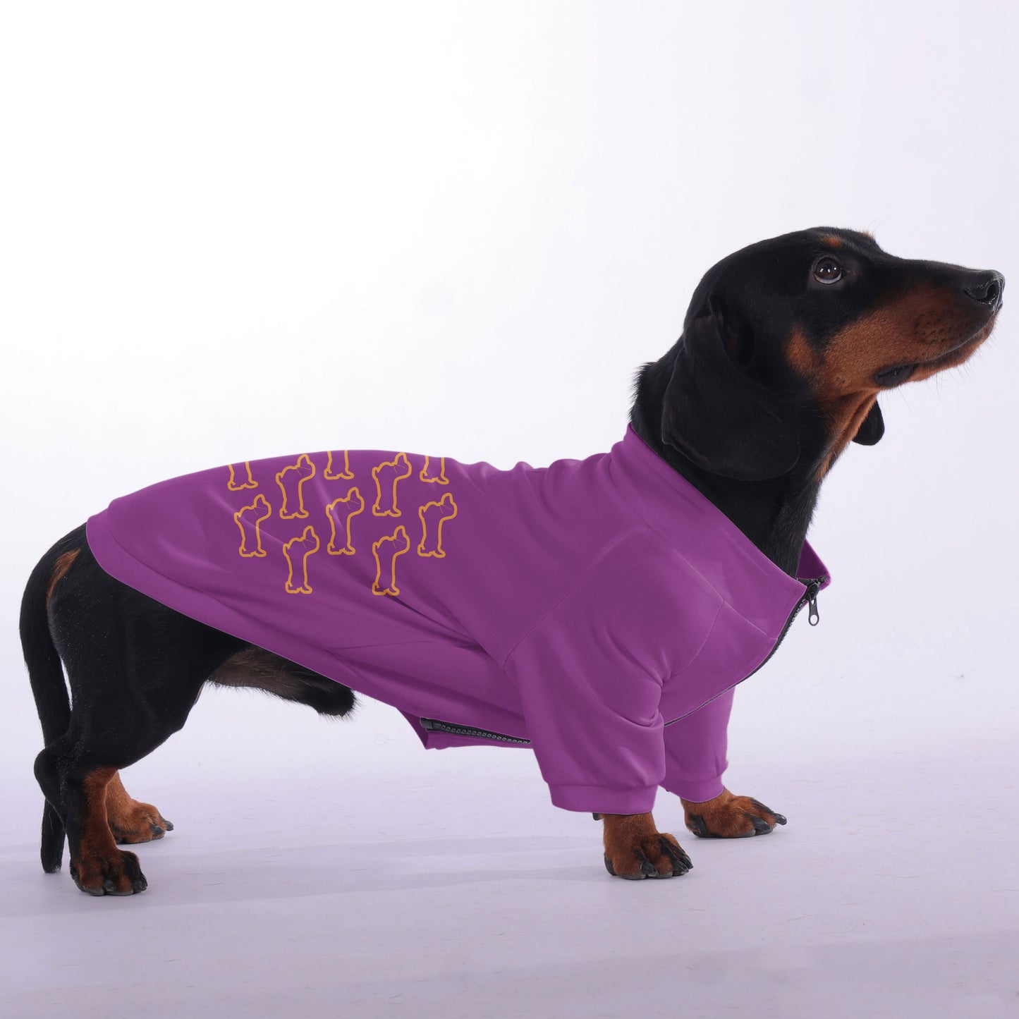 Donna - zip-up hooded sweatshirt for dachshund