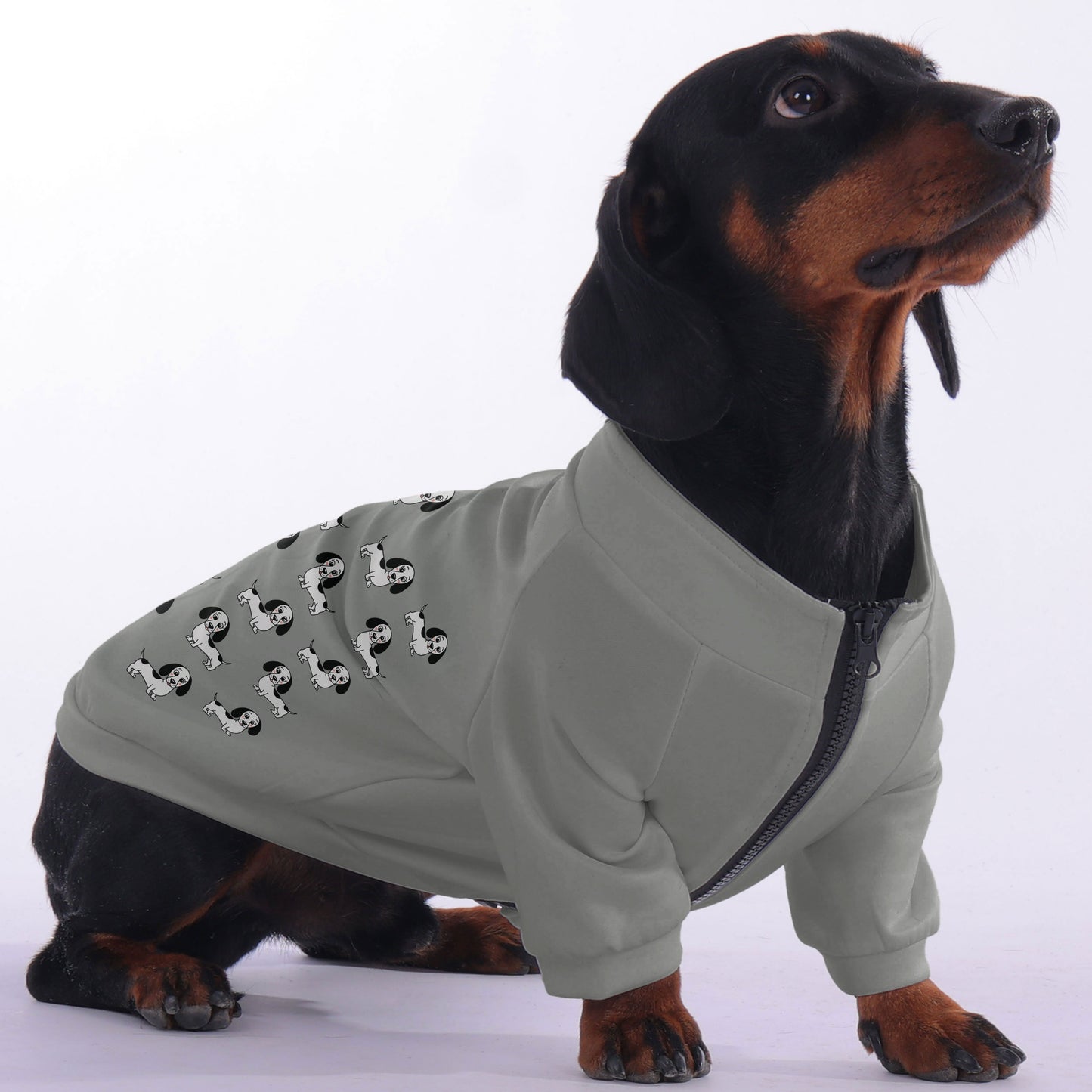 Winston - zip-up hooded sweatshirt for dachshund