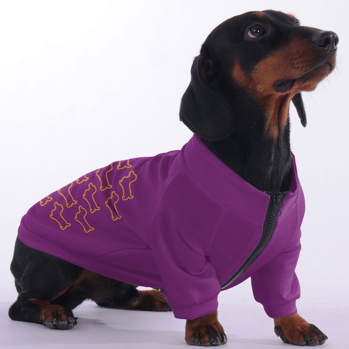 Donna - zip-up hooded sweatshirt for dachshund