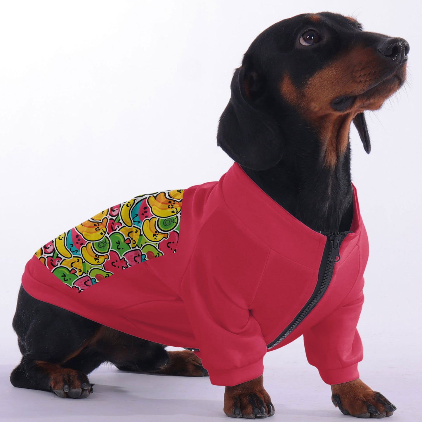 Maxl- zip-up hooded sweatshirt for dachshund