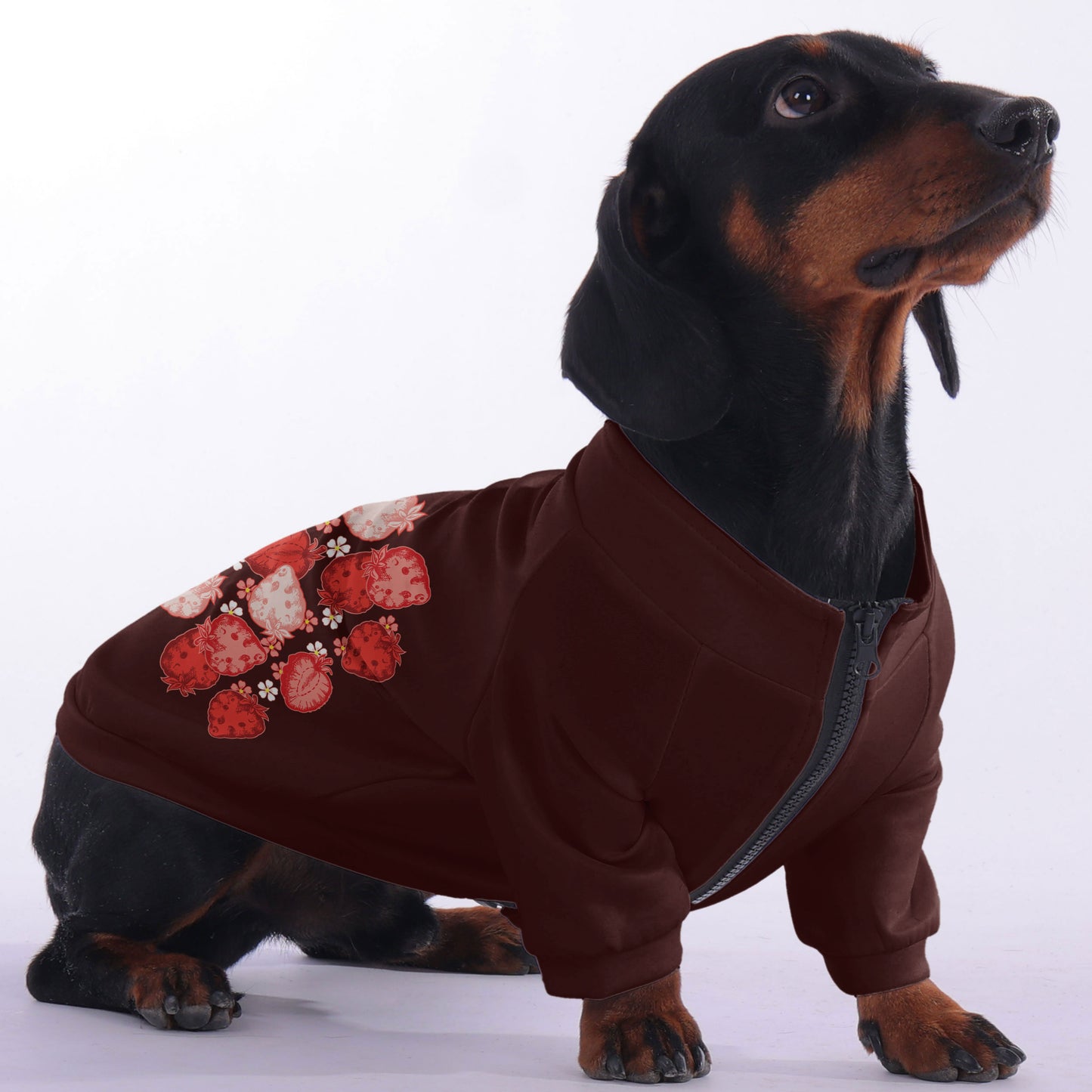 Mochi - zip-up hooded sweatshirt for dachshund