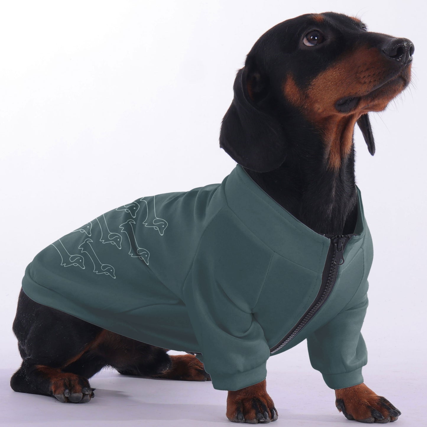 Rachel  - zip-up hooded sweatshirt for dachshund