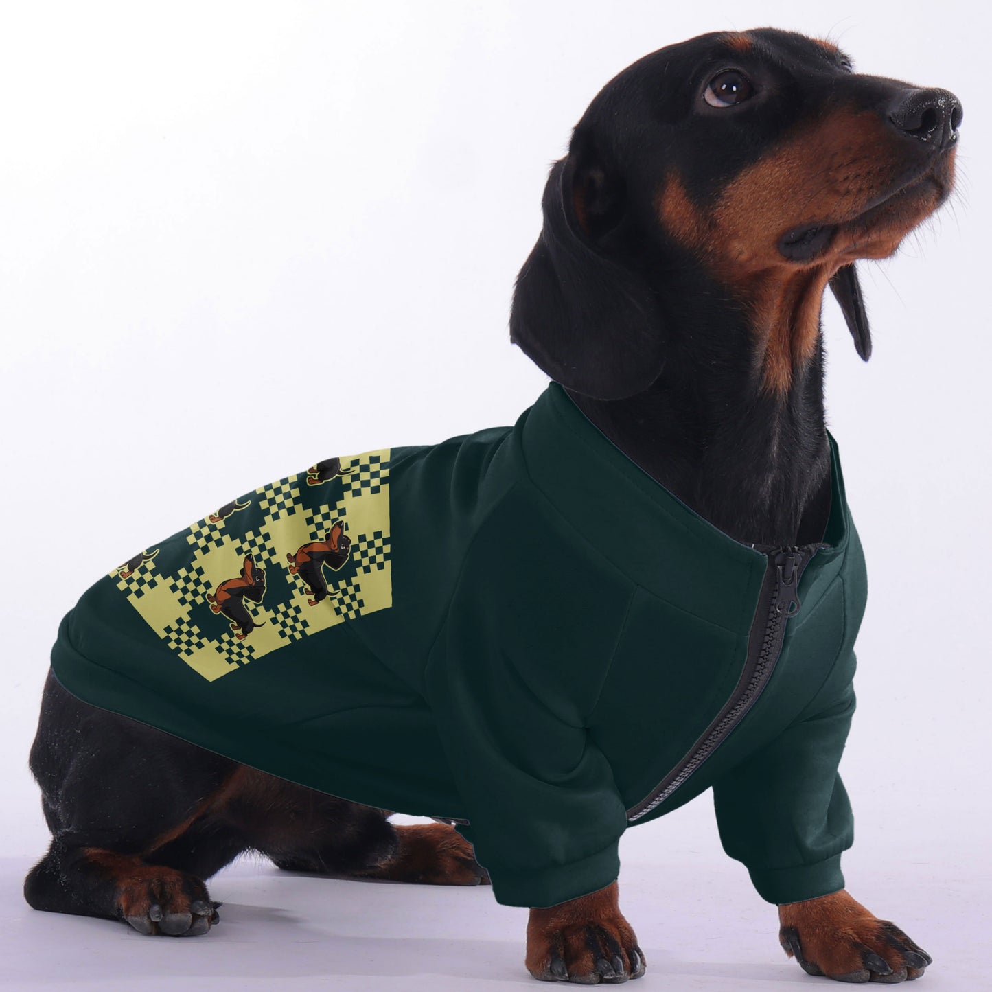 Rolo - zip-up hooded sweatshirt for dachshund