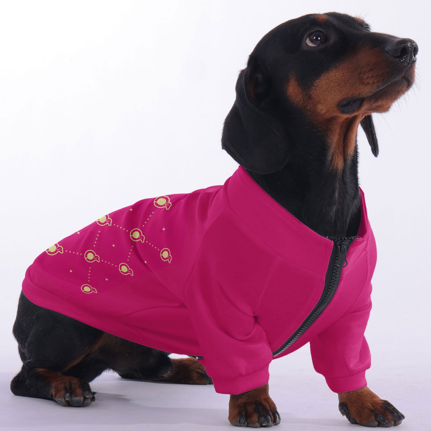 Cinnamon - zip-up hooded sweatshirt for dachshund