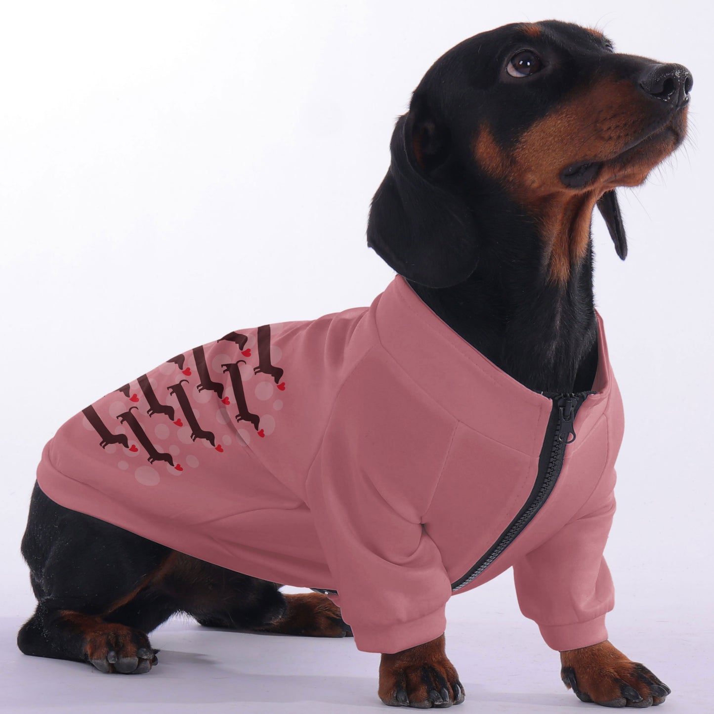 Frieda- zip-up hooded sweatshirt for dachshund