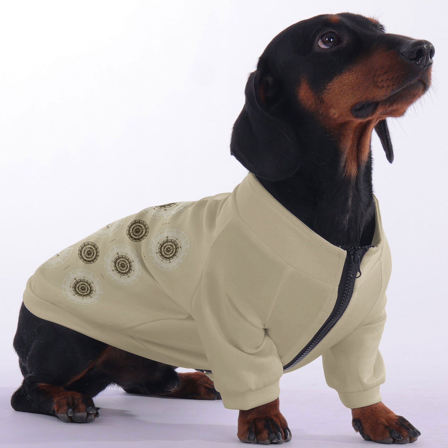 Paula - zip-up hooded sweatshirt for dachshund
