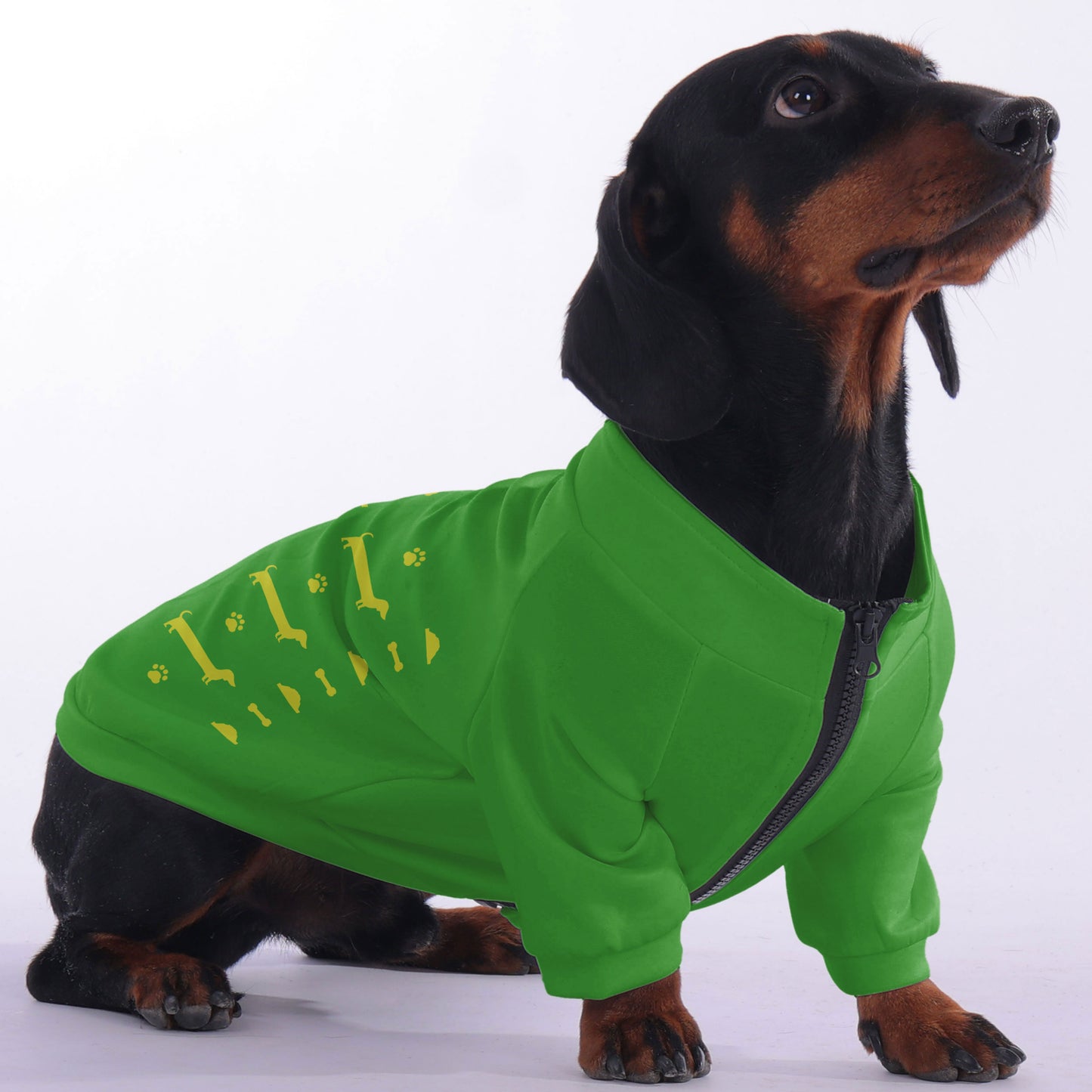Toby - zip-up hooded sweatshirt for dachshund