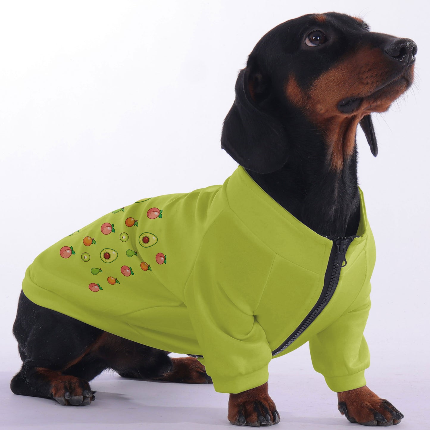 Cooper - zip-up hooded sweatshirt for dachshund