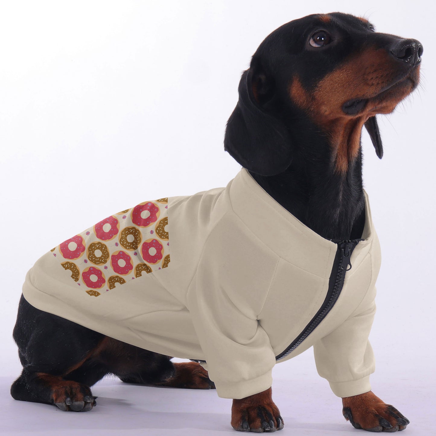 Waffles - zip-up hooded sweatshirt for dachshund