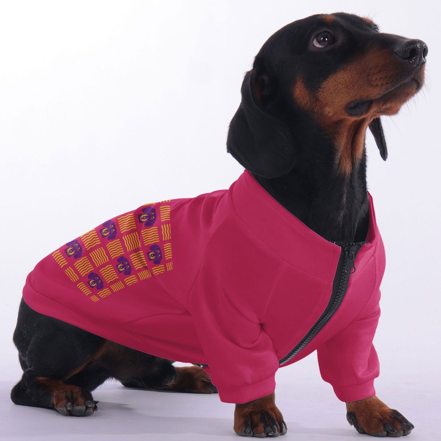 Ray - zip-up hooded sweatshirt for dachshund