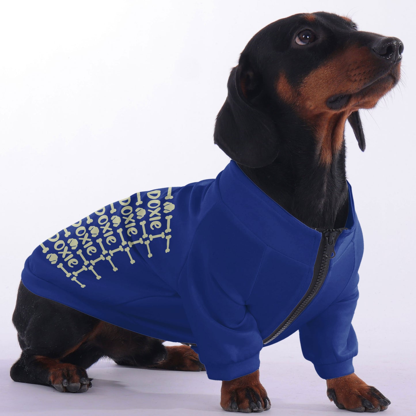 Shannon  - zip-up hooded sweatshirt for dachshund