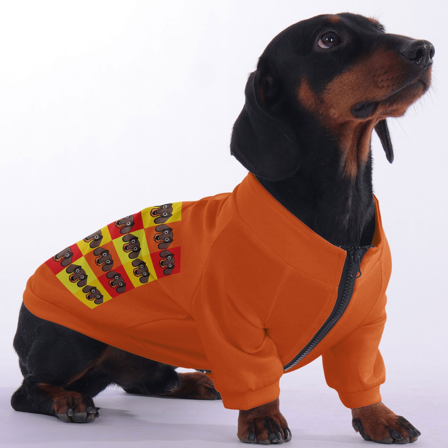 Muffin - zip-up hooded sweatshirt for dachshund