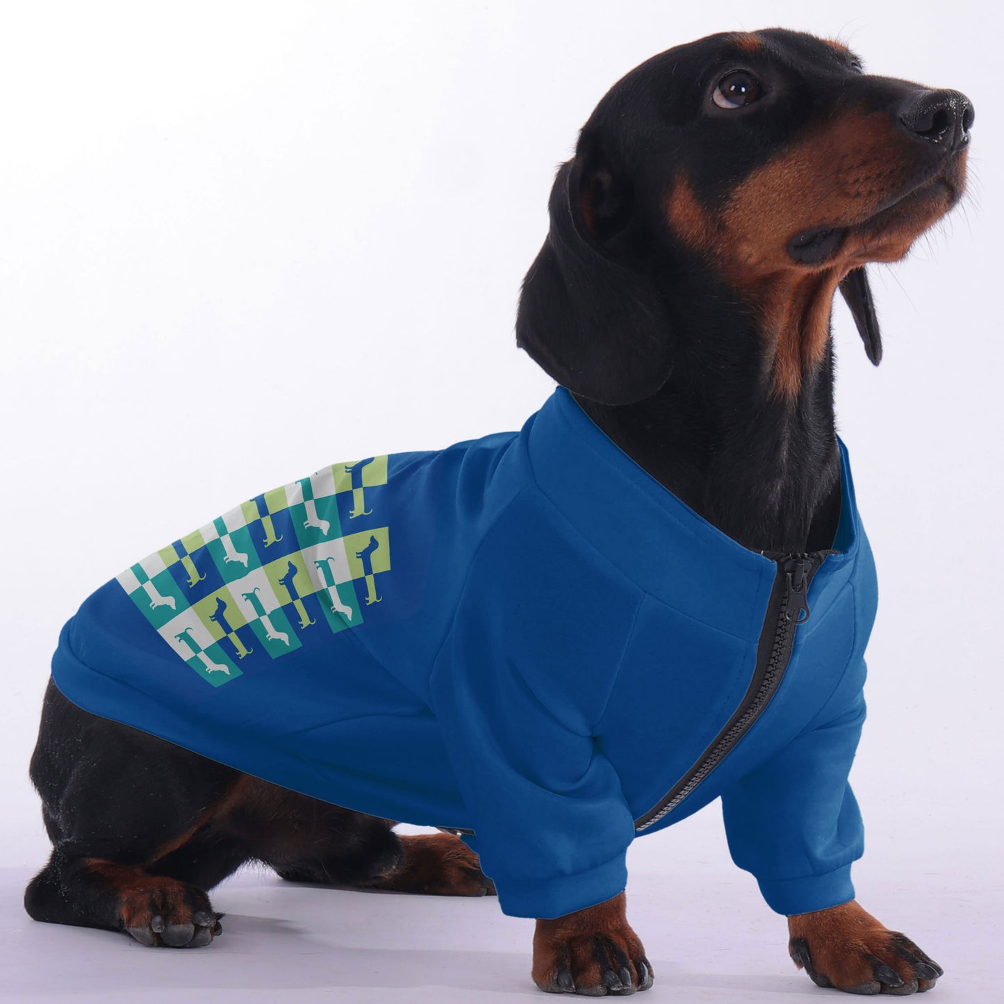 Max - zip-up hooded sweatshirt for dachshund
