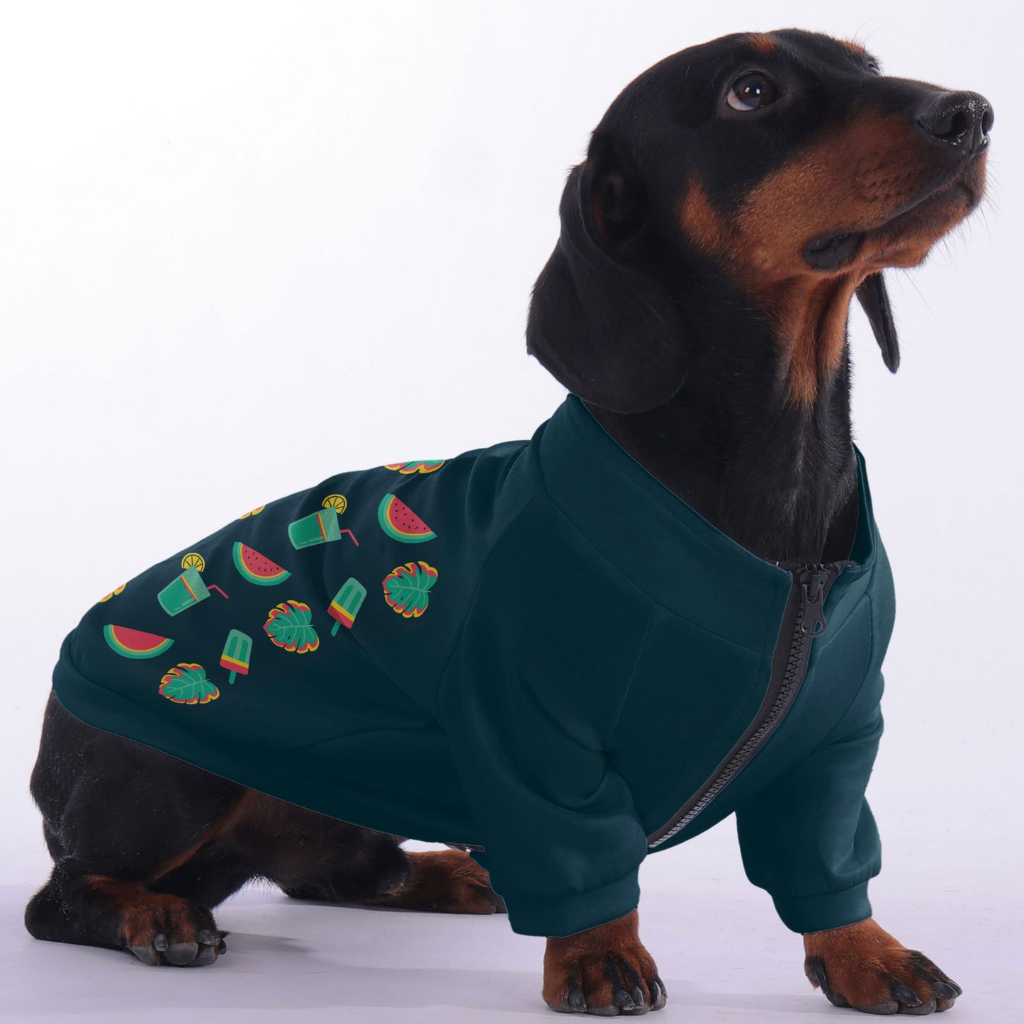 Ginger - zip-up hooded sweatshirt for dachshund
