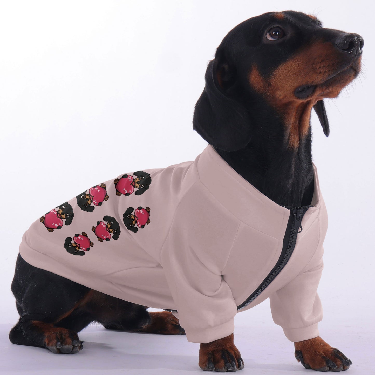 Duke - zip-up hooded sweatshirt for dachshund