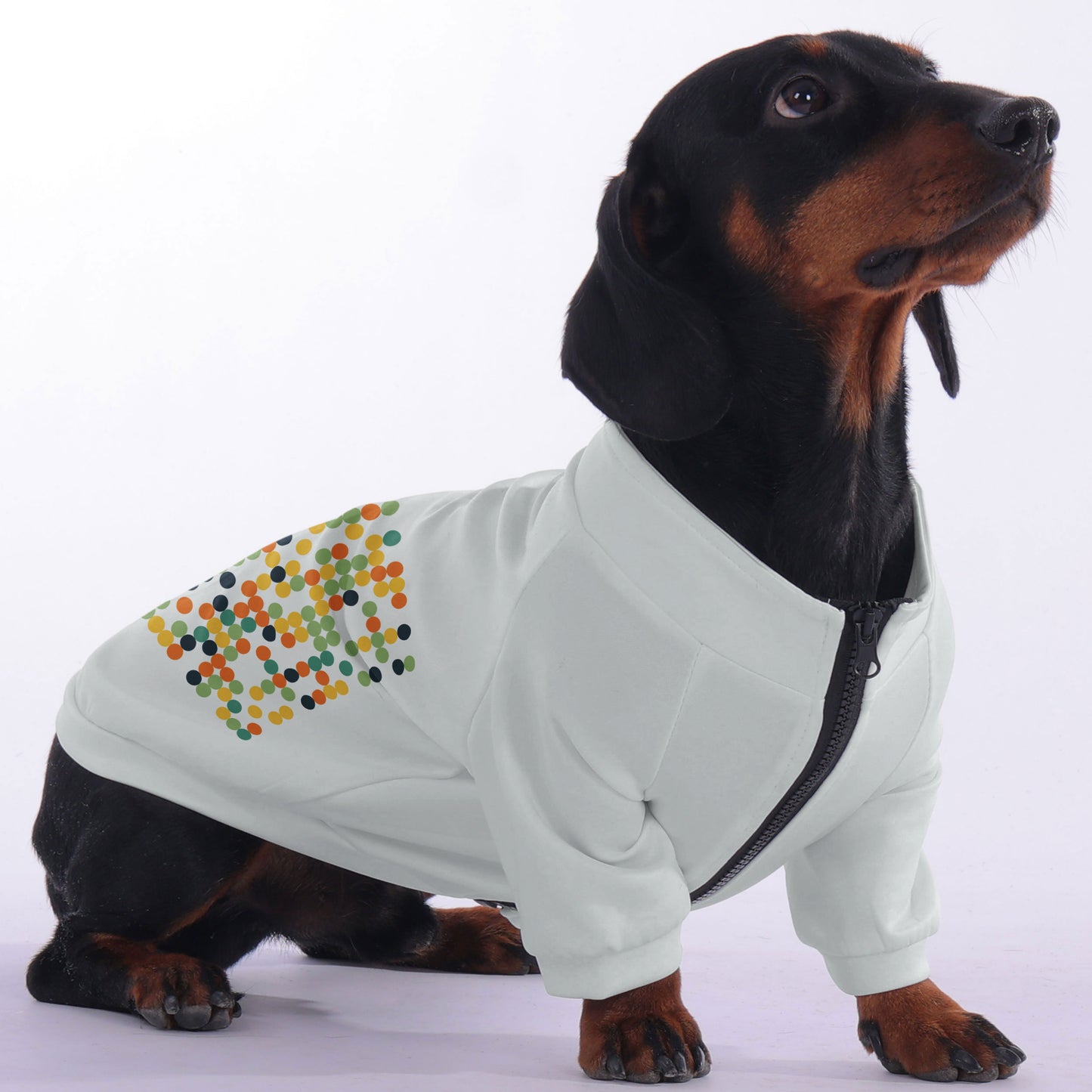 Lulu - zip-up hooded sweatshirt for dachshund