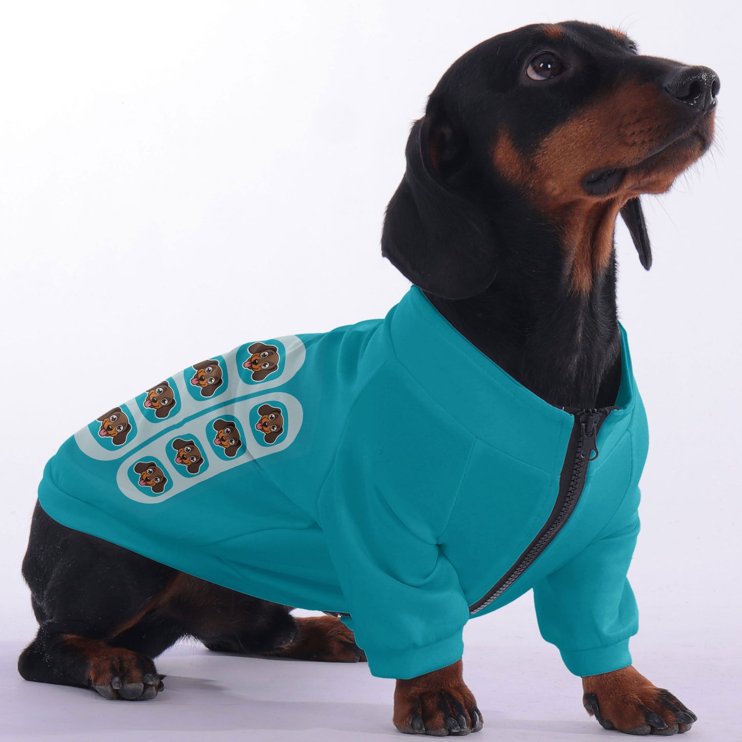 Pickle - zip-up hooded sweatshirt for dachshund