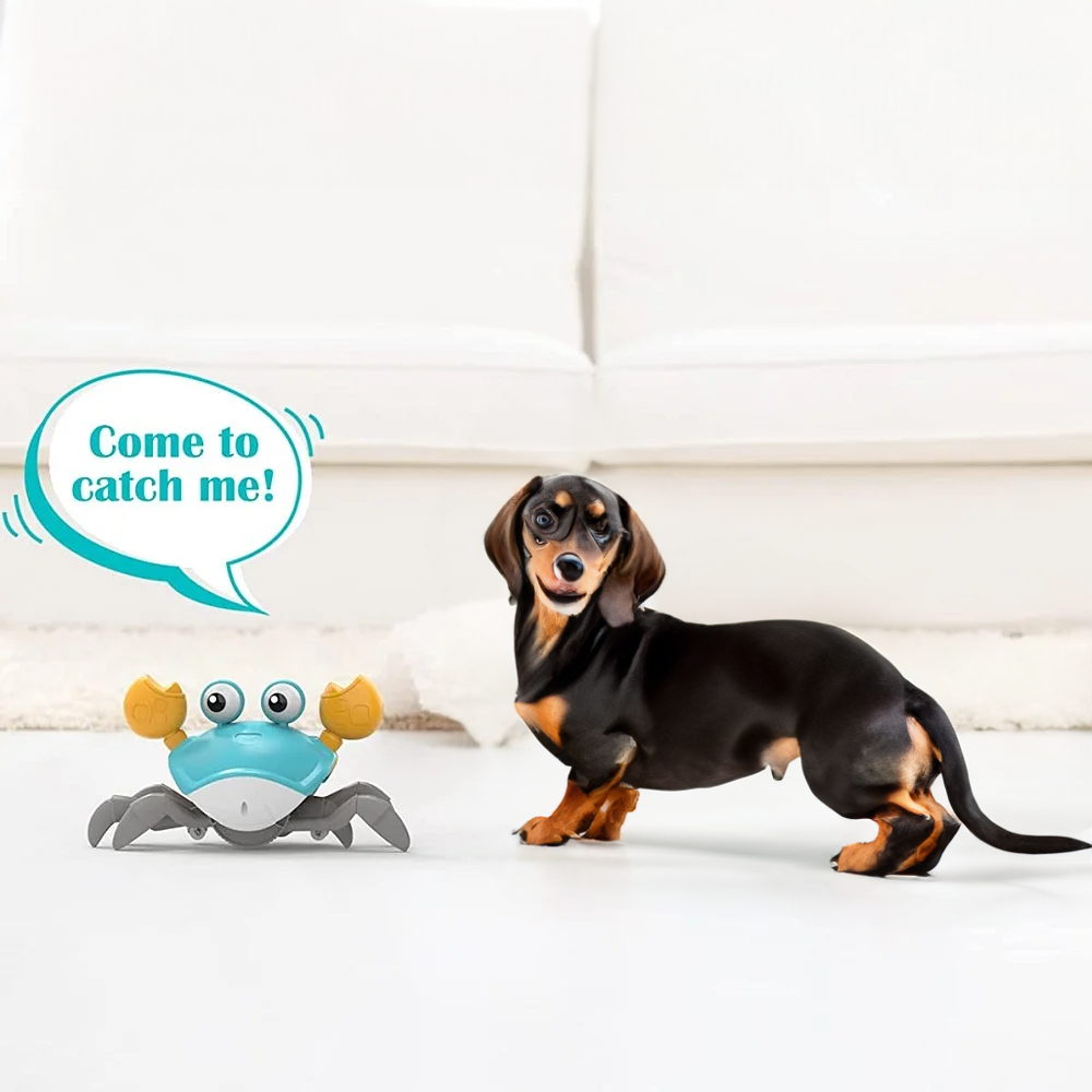 DachsyPlay™ - Dachshund Interactive Crab Toy