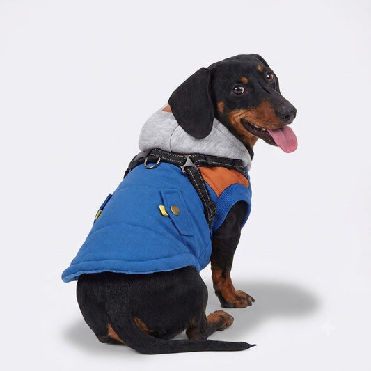DacPaw-Dachshund-Winter-Jacket.jpg