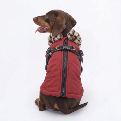 DacPaw-Dachshund-Winter-Jacket.jpg