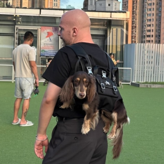 DachCarry Dachshund Side Carry Backpack – Lightweight Portable and Secure Doxie Carrier Bag