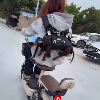 DachCarry dachshund side carry backpack, view 10