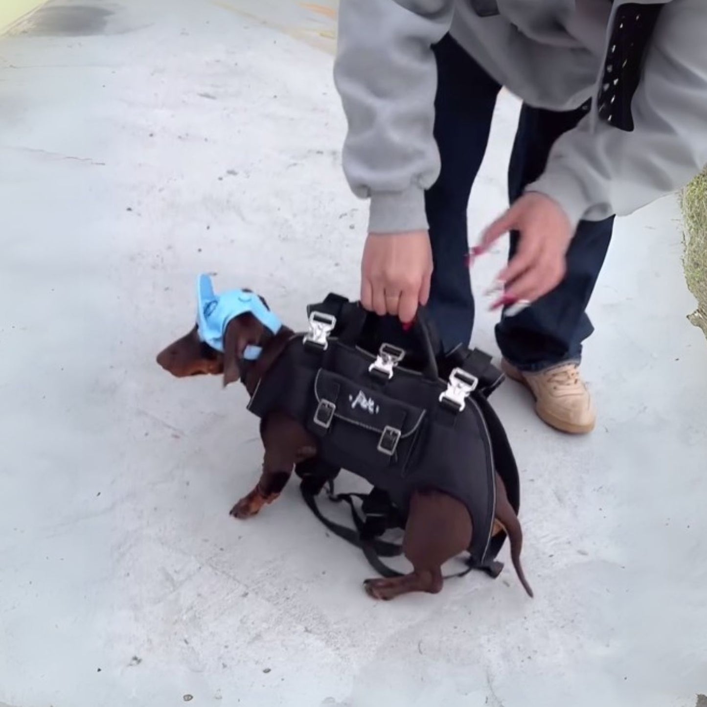 DachCarry-Dachshund-Side-Carry-Backpack