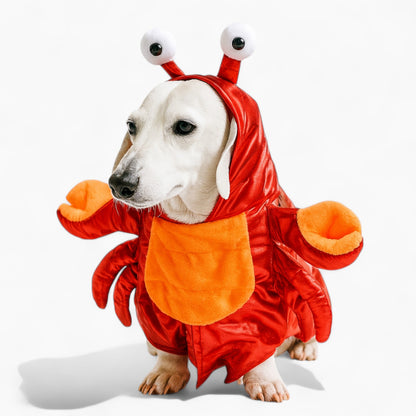 DachCrusta-Dachshund-Crab-Costume.jpg