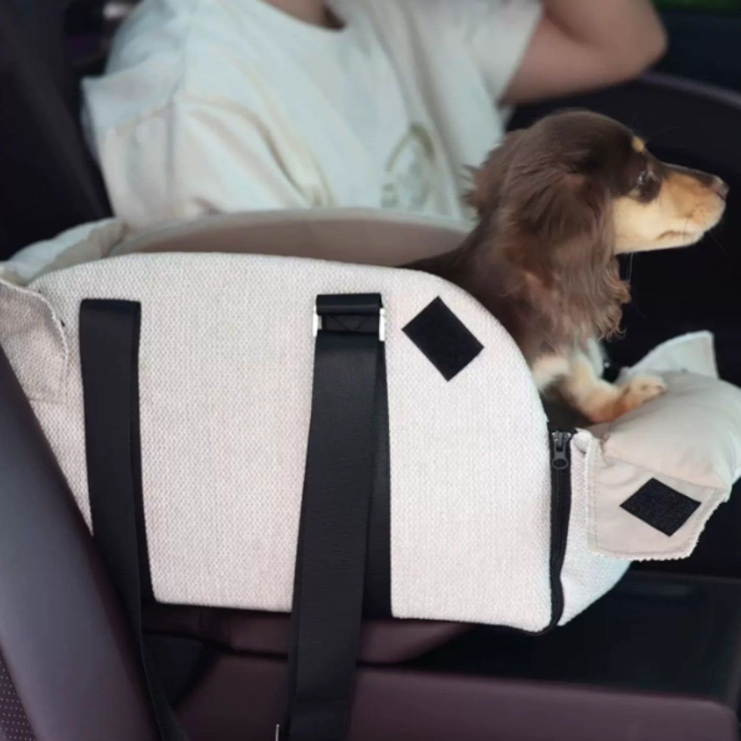 DachEase-Dachshund-Portable-Car-Seat.jpg