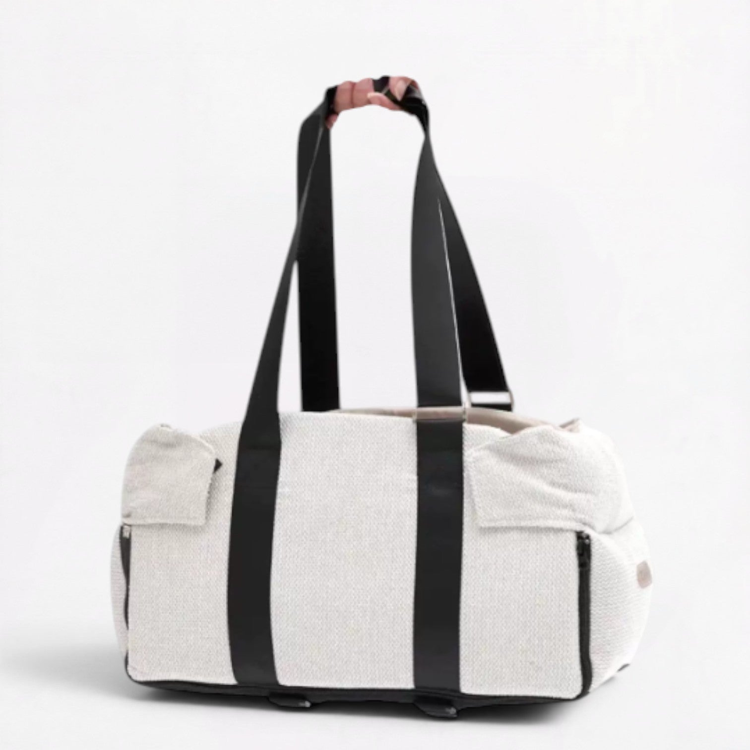 DachEase-Dachshund-Portable-Car-Seat.jpg