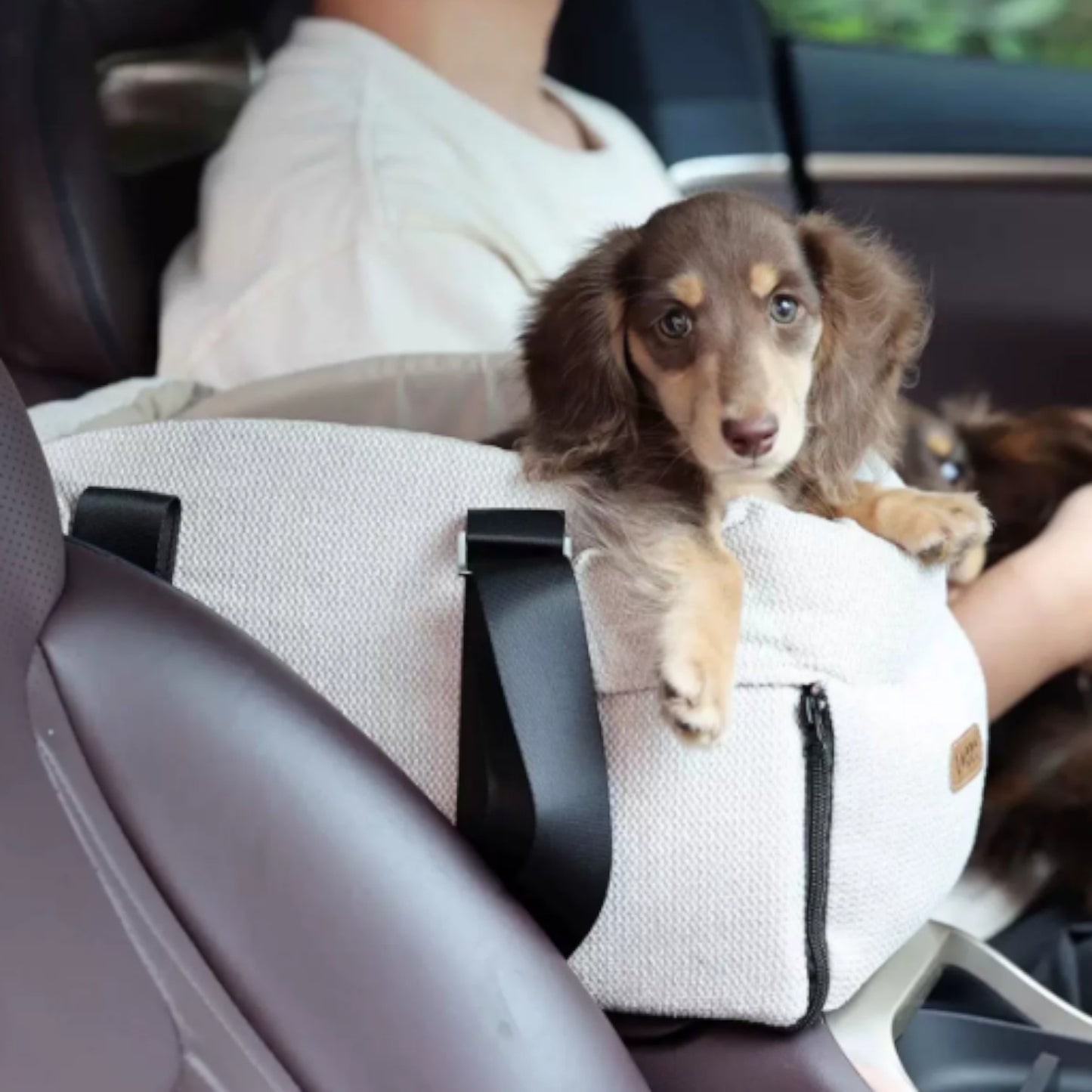 DachEase-Dachshund-Portable-Car-Seat.jpg