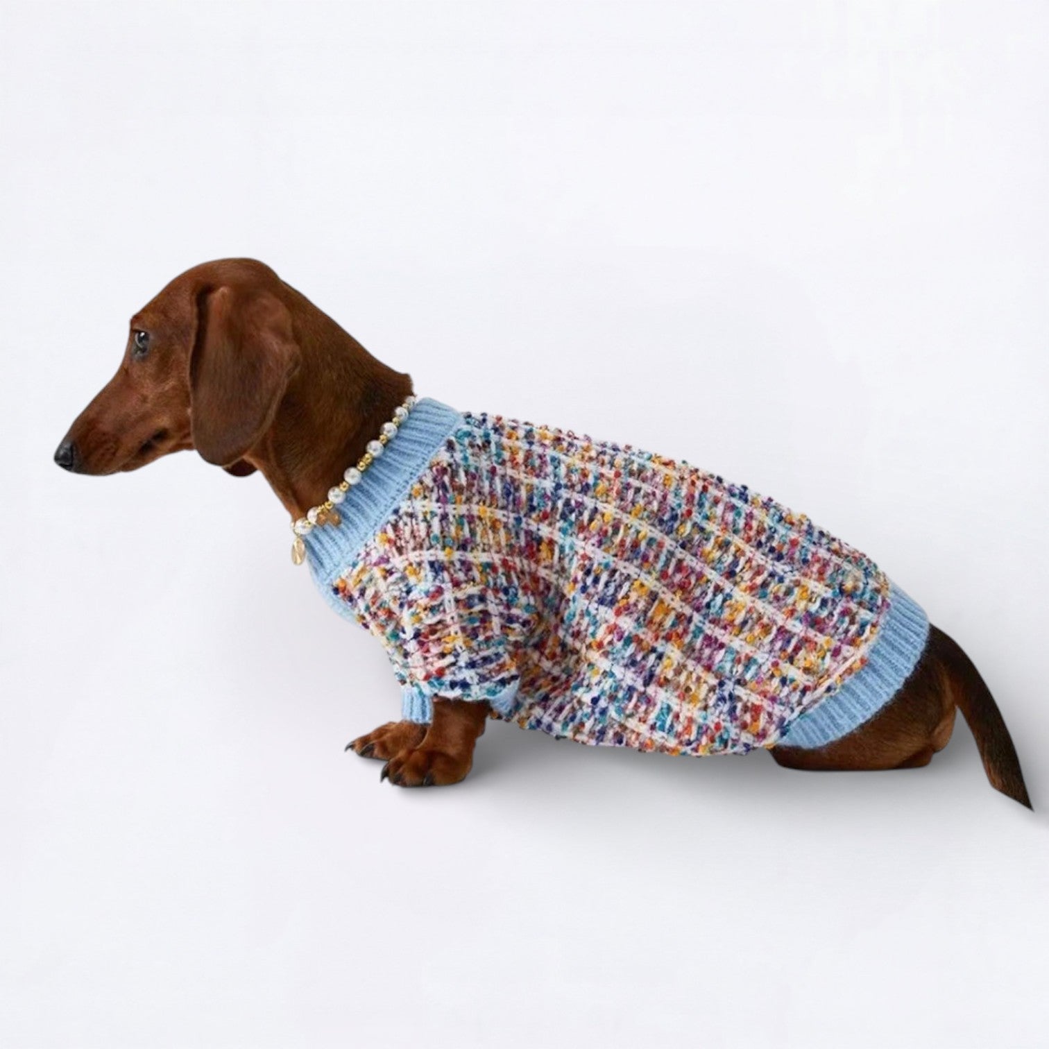DachFash-Dachshund-Winter-Sweater.jpg