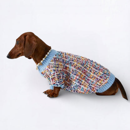 DachFash-Dachshund-Winter-Sweater.jpg