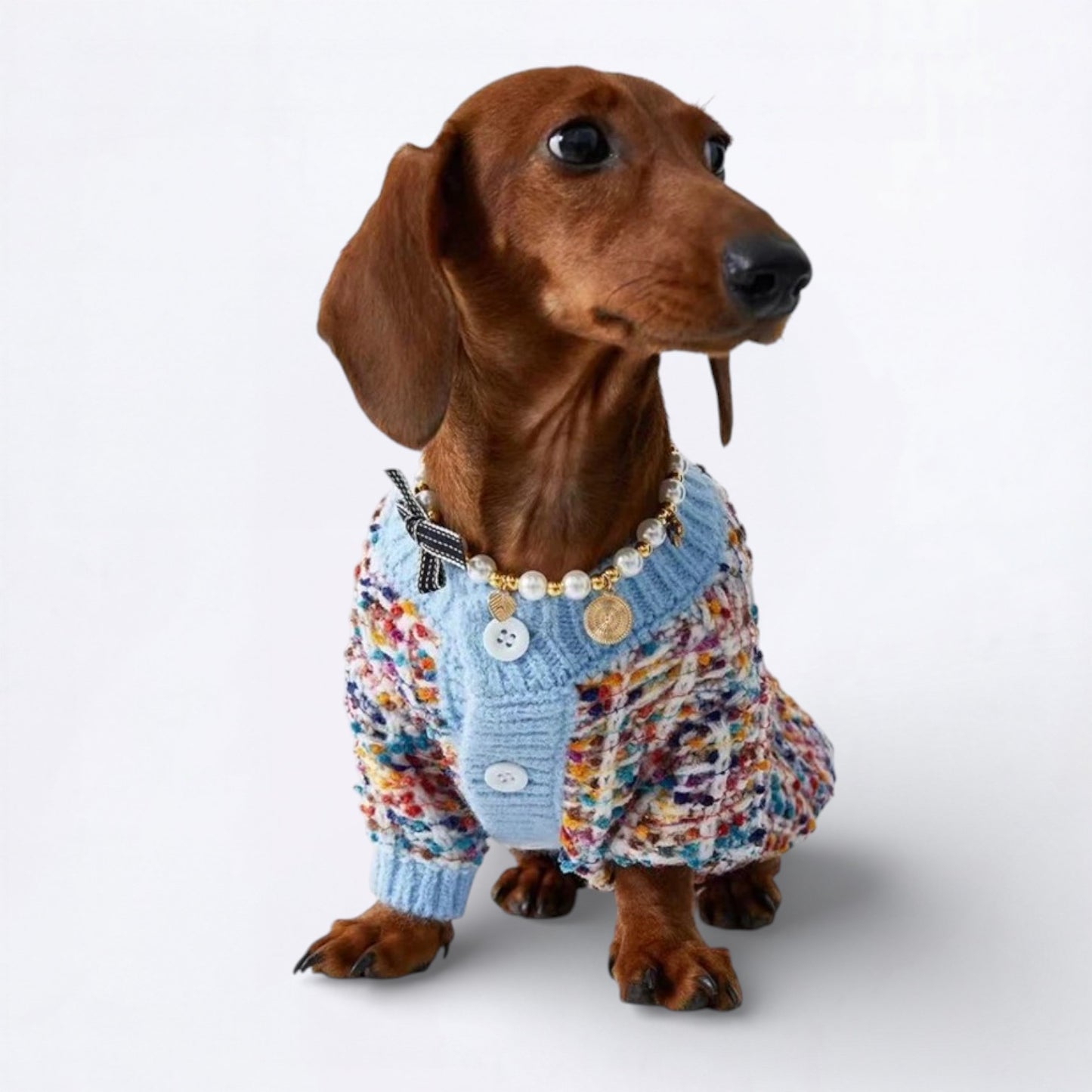 DachFash-Dachshund-Winter-Sweater.jpg
