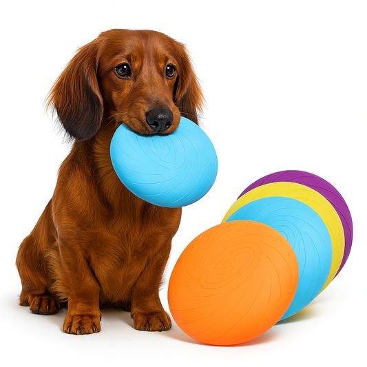DachFly-Dachshund-Flying-Disc-Toy.jpg