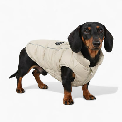 DachLox-Dachshund-Puffer-Vest.jpg