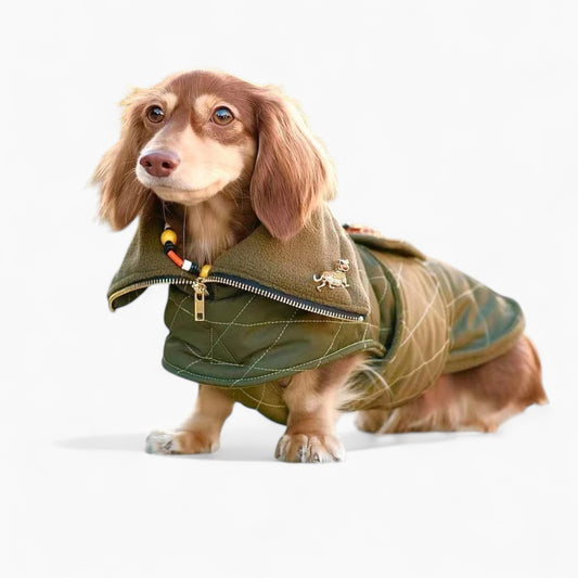 DachLux-Dachshund-Winter-Jacket.jpg