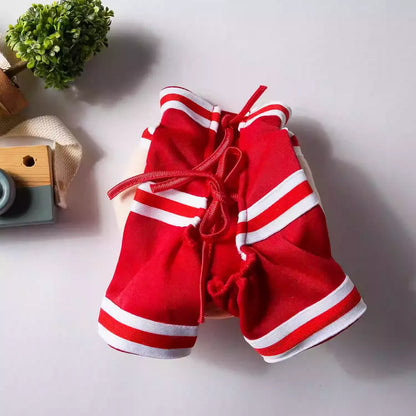 DachRuff-Dachshund-Basketball-Costume.jpg