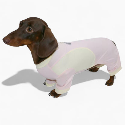 DachShine-Dachshund-Winter-Jacket.jpg