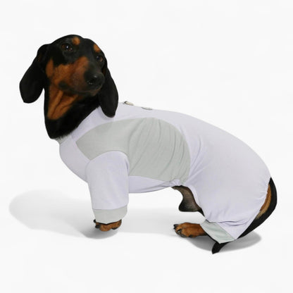 DachShine-Dachshund-Winter-Jacket.jpg