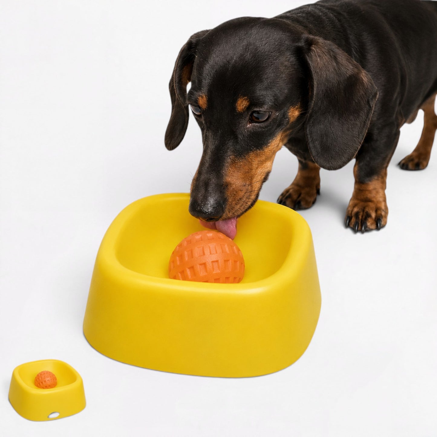 DachSip-Dachshund-Anti-Gulping-Liquid-Bowl.jpg