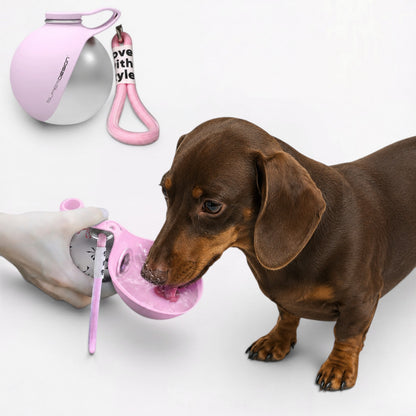 DachSip-Dachshund-Portable-Water-Bottle.jpg