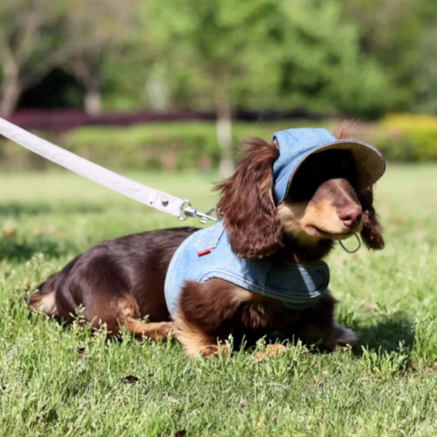 DachStyle-Dachshund-Cowboy-Sun-Hat.jpg