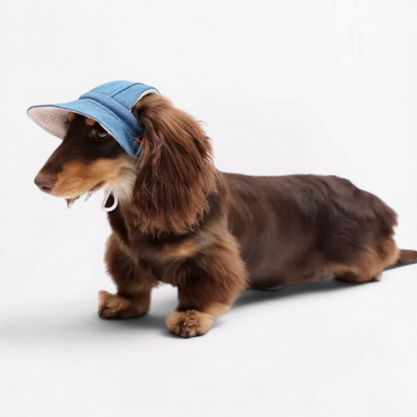 DachStyle-Dachshund-Cowboy-Sun-Hat.jpg