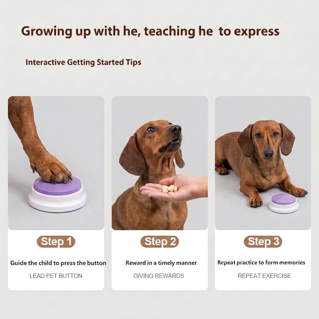 DachTalk-Dachshund-Talking-Button.jpg