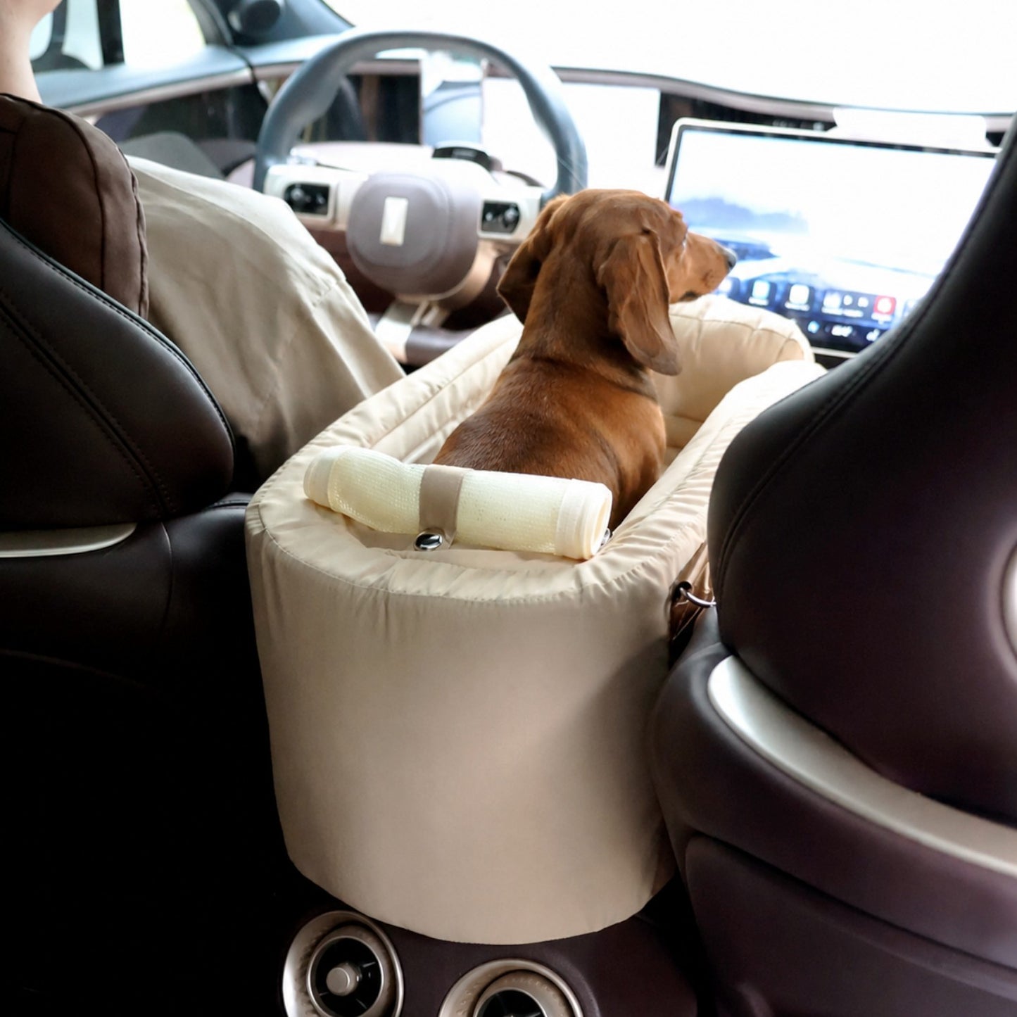 DachiRide-Dachshund-Car-Seat.jpg