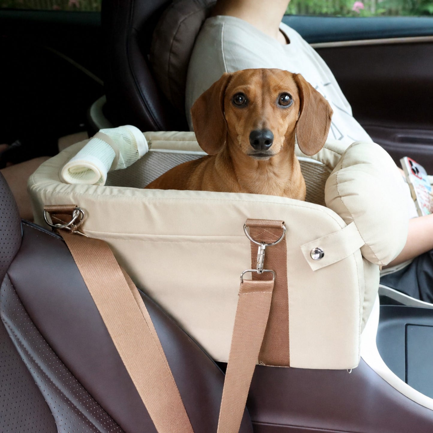 DachiRide-Dachshund-Car-Seat.jpg