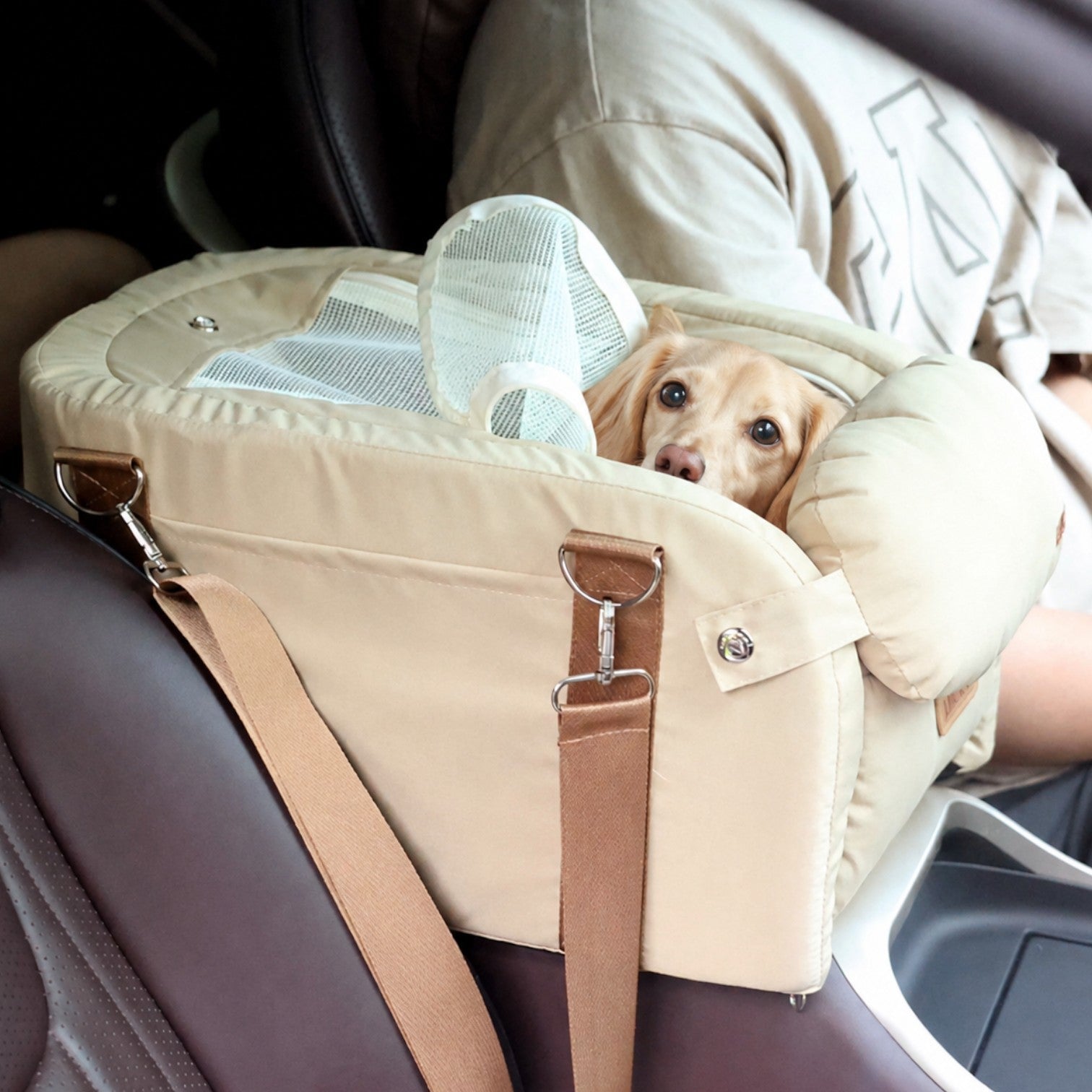 DachiRide-Dachshund-Car-Seat.jpg