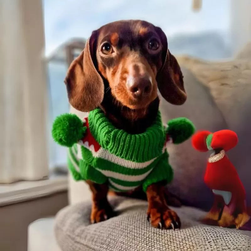 Dachshund-Christmas-Sweater-Stylish-and-Warm-Doxie-Clothing-www.doxie.us